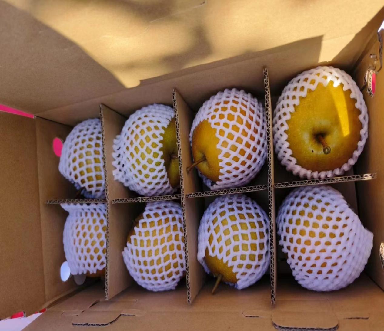 image027 image027.jpg