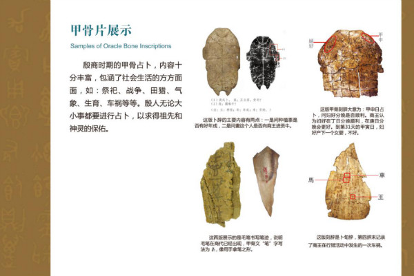 03635323-5743-4dcc-a84a-69f49c489f90