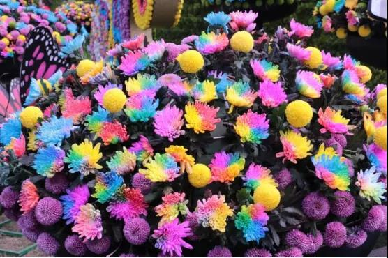 微信图片_20211111105421 微信图片_20211111105421.jpg