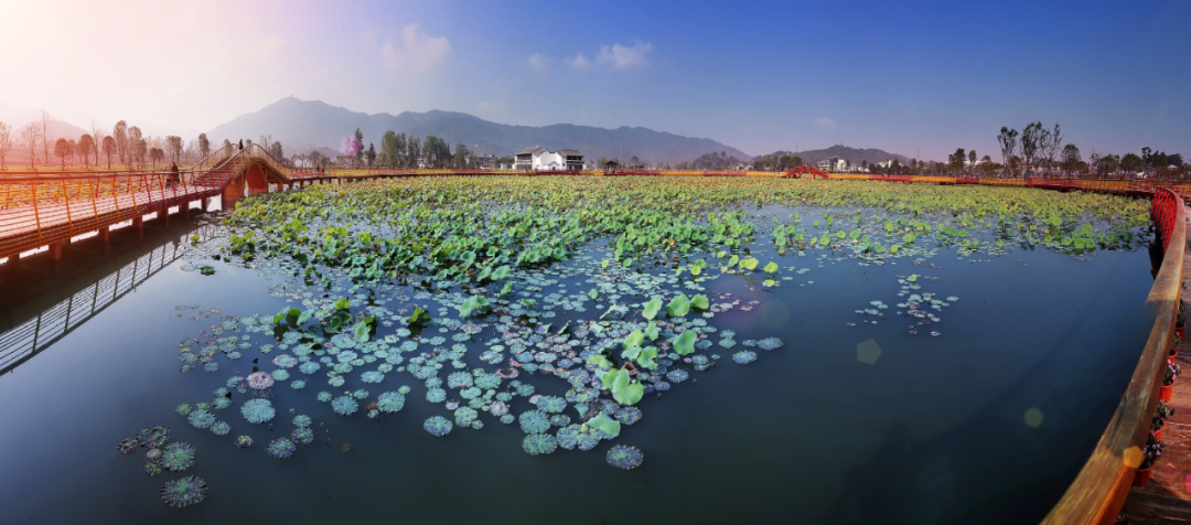 微信图片_20200713182359 微信图片_20200713182359.png