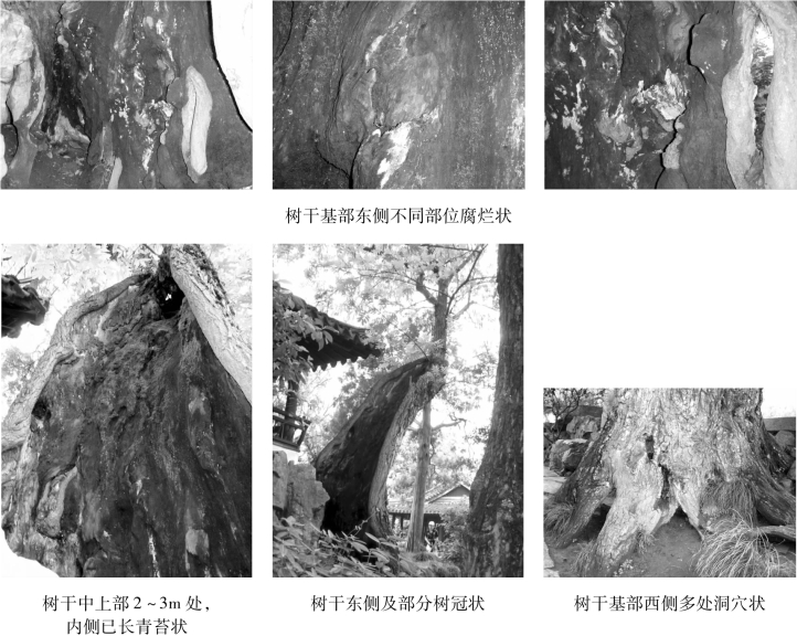 pagenumber_ebook=83,pagenumber_book=83