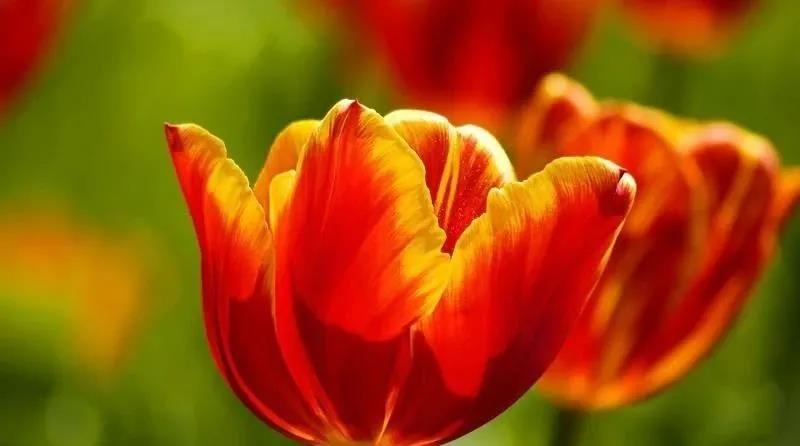 微信图片_20210329153316 微信图片_20210329153316.jpg