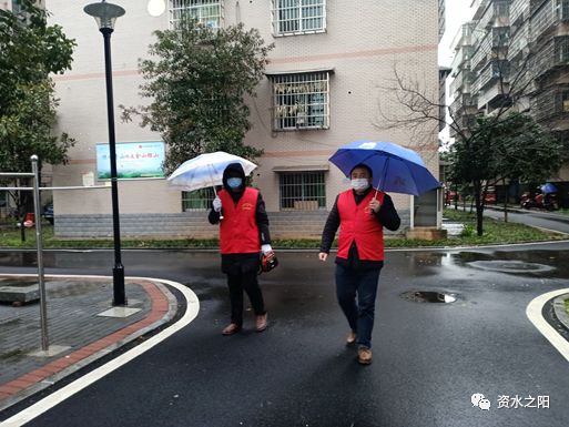 111 111.jpg?v=1766034102945