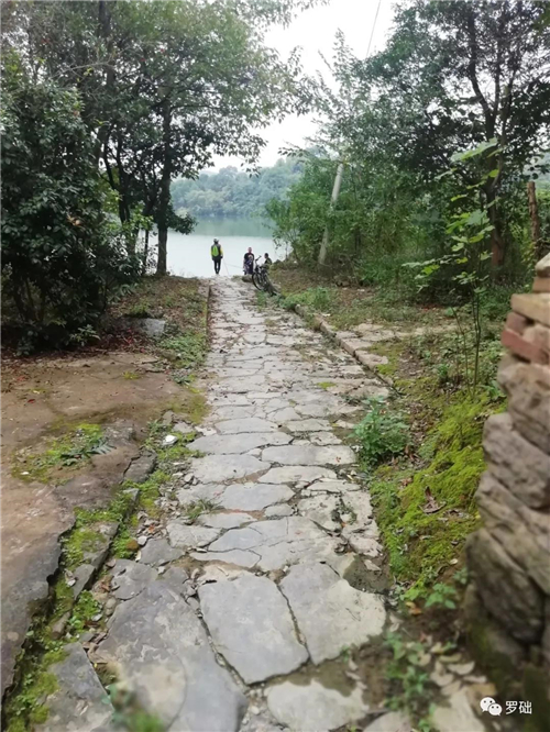 微信图片_20201015091520 微信图片_20201015091520.jpg