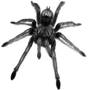 pagenumber_ebook=142,pagenumber_book=142