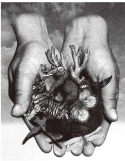 pagenumber_ebook=39,pagenumber_book=32