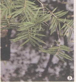 pagenumber_ebook=129,pagenumber_book=115