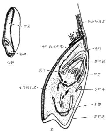 pagenumber_ebook=92,pagenumber_book=85