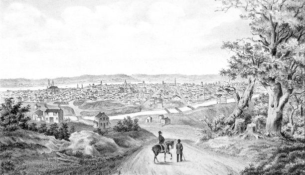 pagenumber_ebook=243,pagenumber_book=221