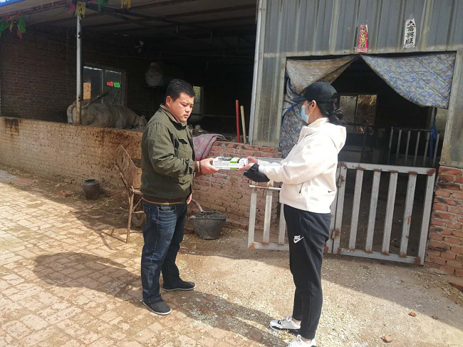 图片1 图片1.png?v=1765857365347