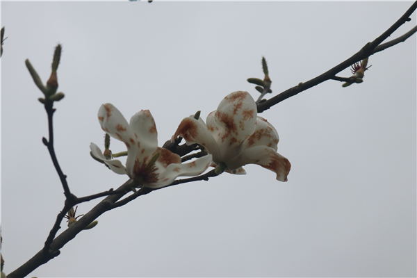 IMG_6357 IMG_6357.jpg