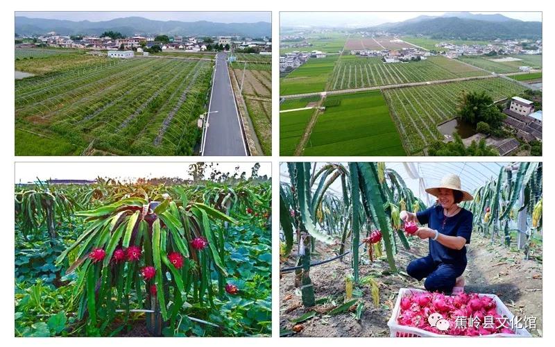 26 26.jpg?v=1765891042459