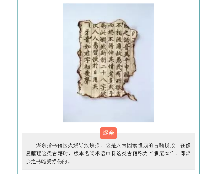 image.png?v=1754275719565