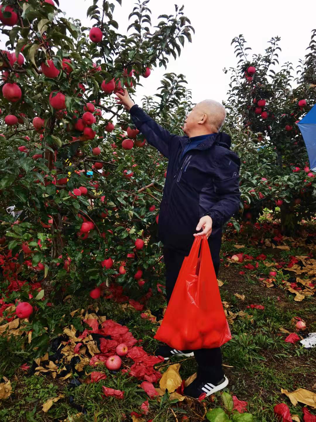 e5e1a482dd7e88870f17ecf730784be e5e1a482dd7e88870f17ecf730784be.jpg