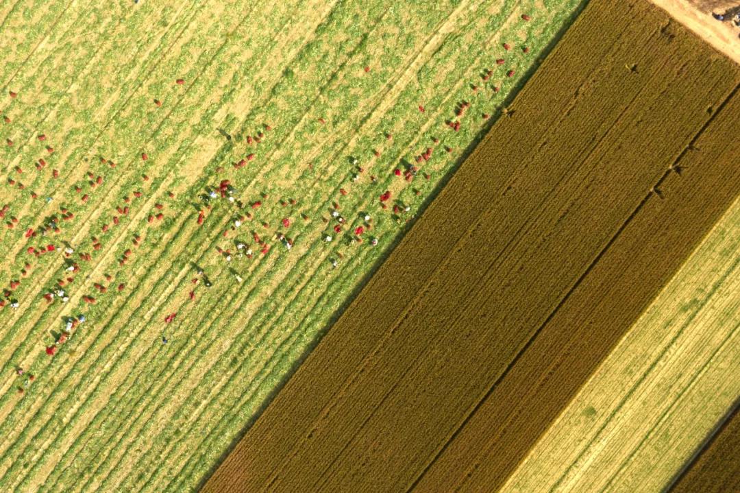 微信图片_20211128110322