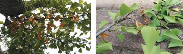 pagenumber_ebook=36,pagenumber_book=28