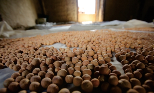 pagenumber_ebook=123,pagenumber_book=111