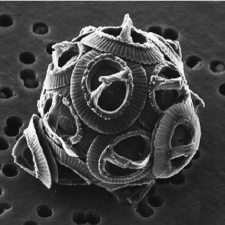 pagenumber_ebook=110,pagenumber_book=110