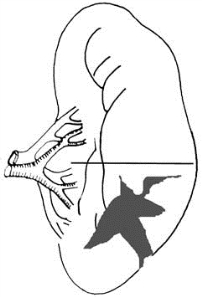 pagenumber_ebook=511,pagenumber_book=496