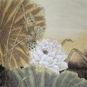 25 25.jpg?v=1772869843726