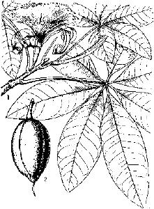 pagenumber_ebook=274,pagenumber_book=274