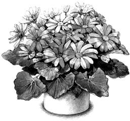 pagenumber_ebook=202,pagenumber_book=202