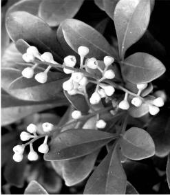 pagenumber_ebook=147,pagenumber_book=147