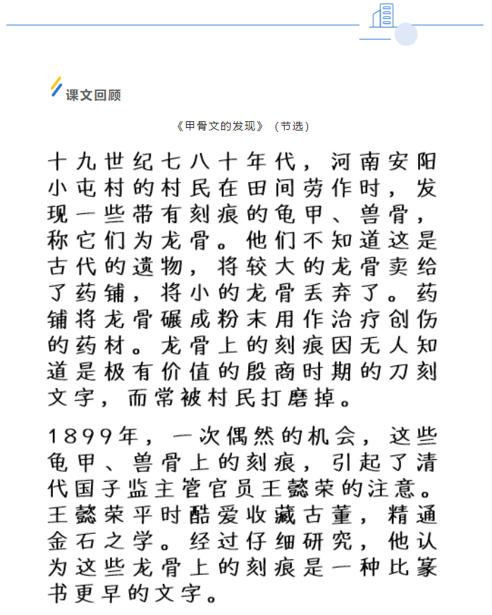 image.png?v=1750231063046