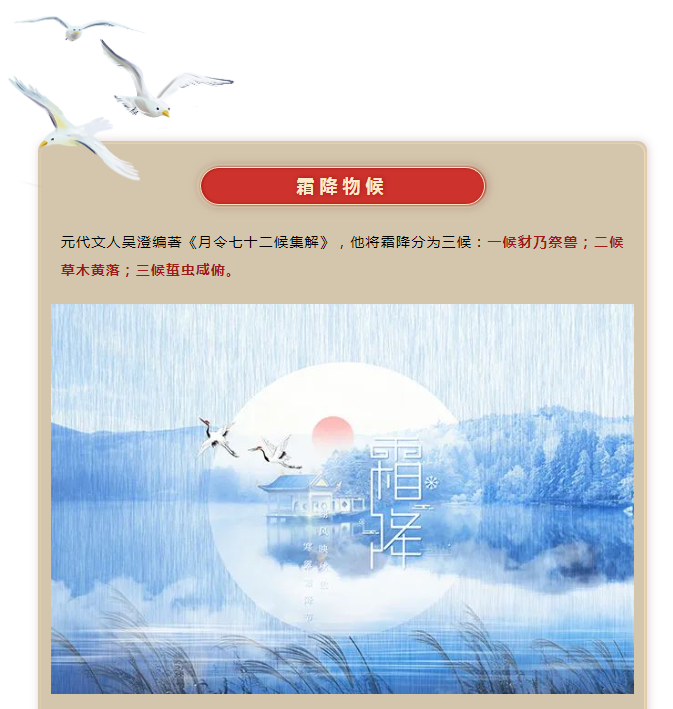 image.png?v=1750226782663