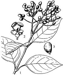 pagenumber_ebook=98,pagenumber_book=98