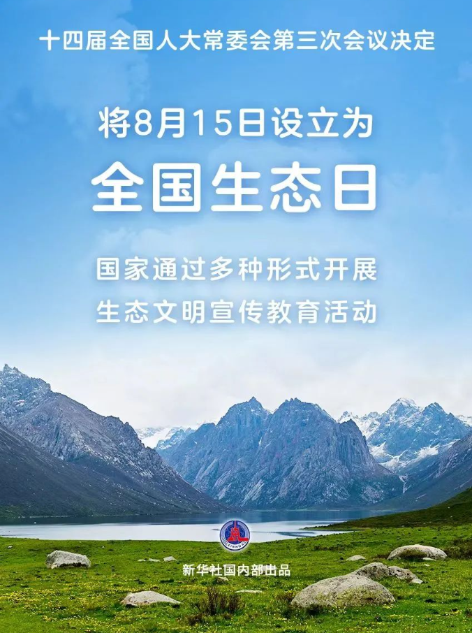 image image.png?v=1745178052562