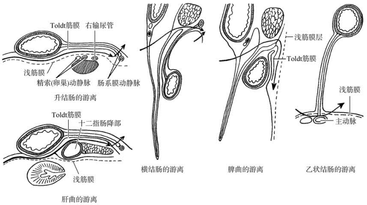 pagenumber_ebook=375,pagenumber_book=360