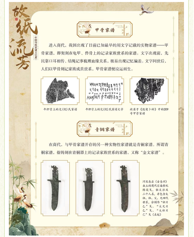 image.png?v=1775271545637