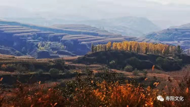 20d70664f23091e3f3b51b599b983f1 20d70664f23091e3f3b51b599b983f1.jpg