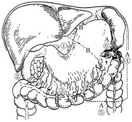 pagenumber_ebook=100,pagenumber_book=85