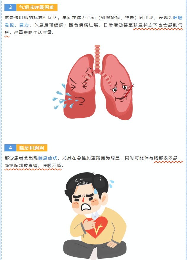 image.png?v=1766278511535