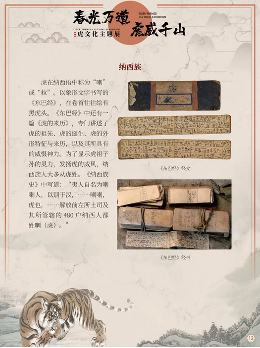 图片.png?v=1750142505724