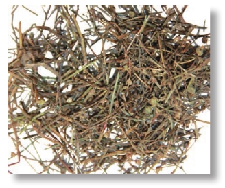 pagenumber_ebook=69,pagenumber_book=56