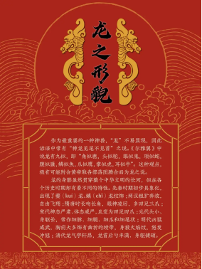 image.png?v=1757814455044