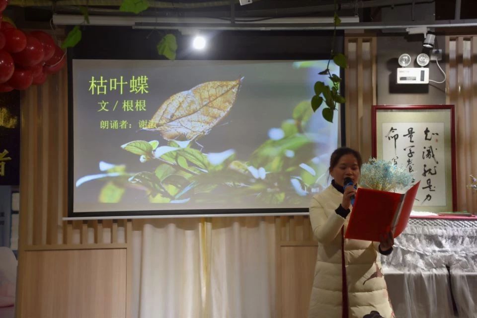 11 11.jpg?v=1762752500028