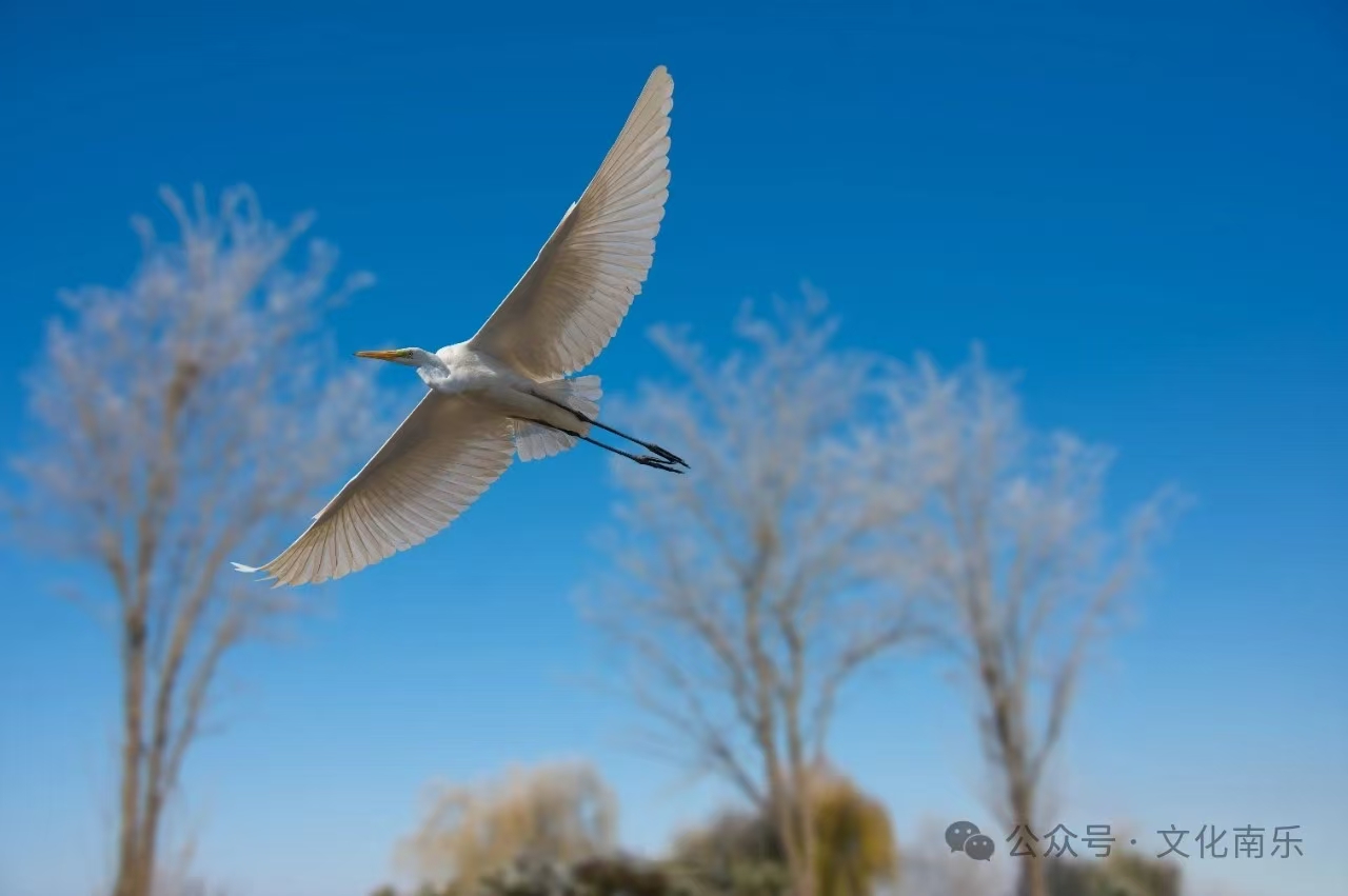 微信图片_20250206153524 微信图片_20250206153524.jpg