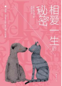 image image.png?v=1770115961685