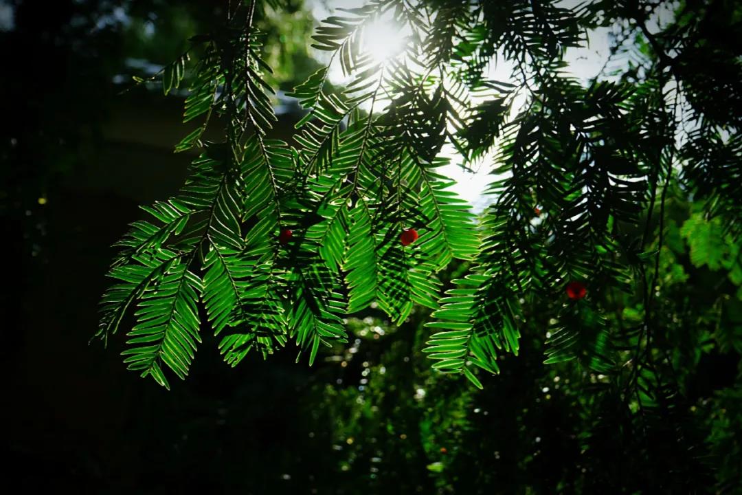 微信图片_20201124234225