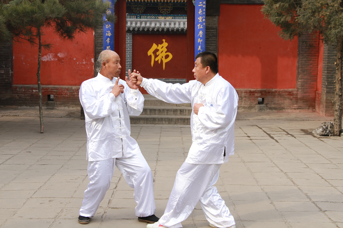 5e6e870d0a4770742c125bc9c0f0993 - 副本 5e6e870d0a4770742c125bc9c0f0993 - 副本.png