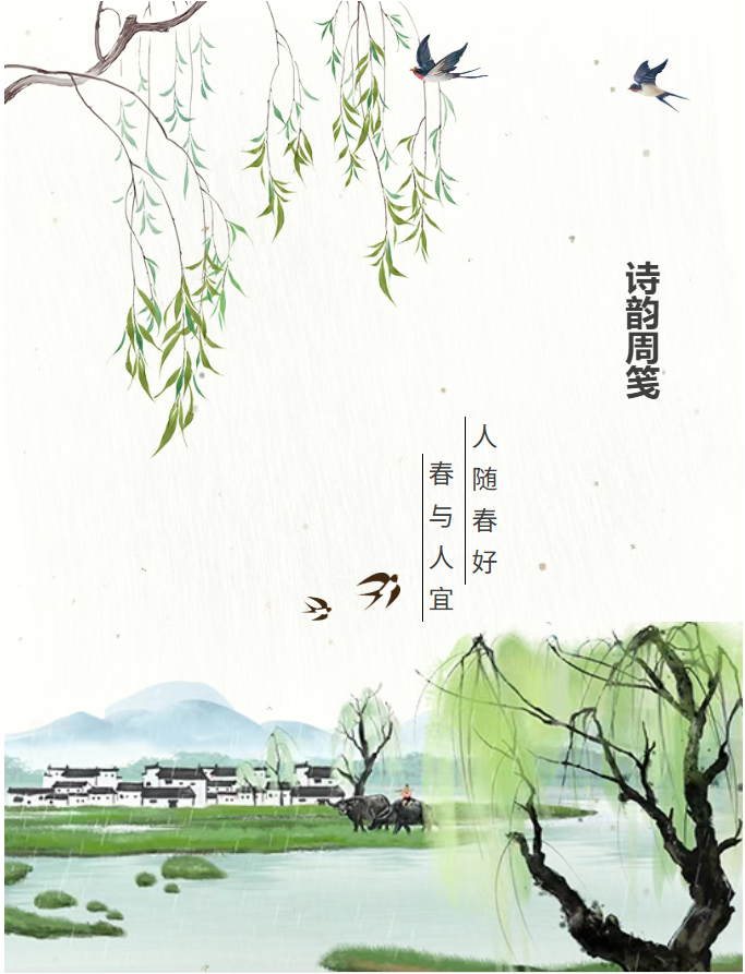 image.png?v=1774110454134