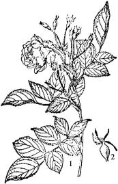 pagenumber_ebook=167,pagenumber_book=167