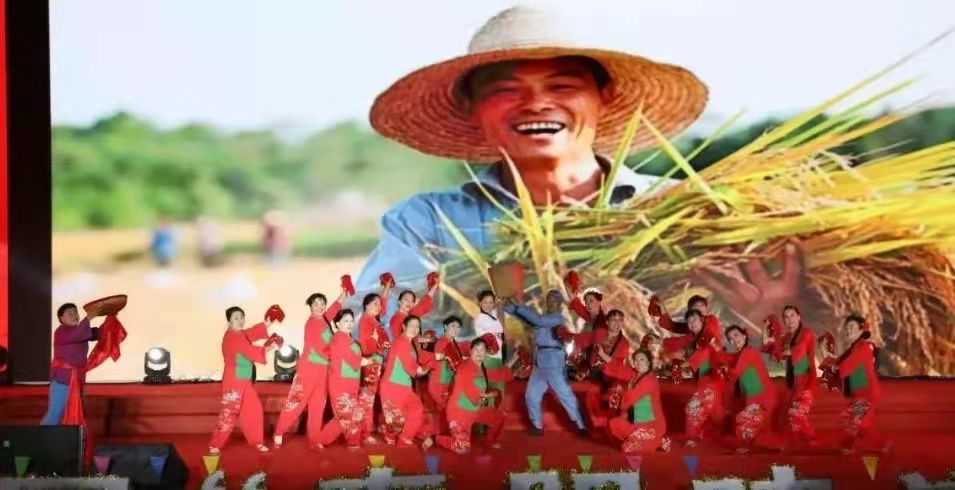 a21d90c63f3363ed3a3205f3e3cf62d