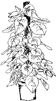 pagenumber_ebook=278,pagenumber_book=278