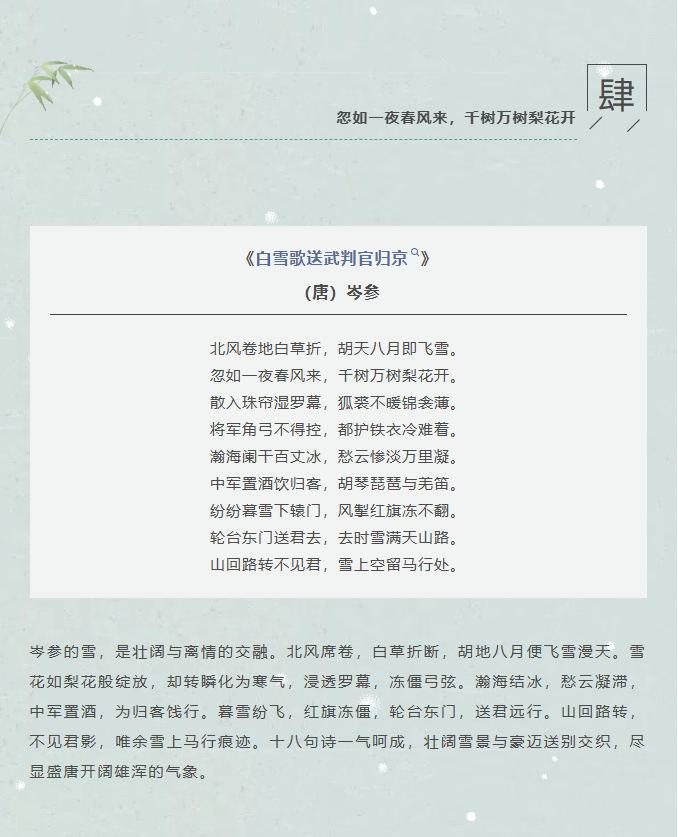 image.png?v=1766278431556