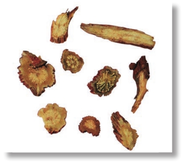 pagenumber_ebook=182,pagenumber_book=169